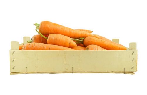 Сорта моркови для зимнего хранения - обзор + правила хранения!