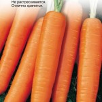 Сорта моркови для зимнего хранения - обзор + правила хранения!