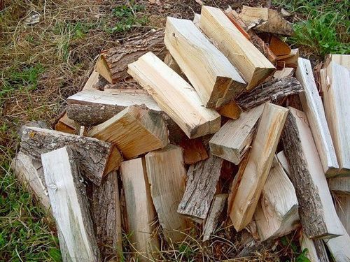 Какими дровами лучше топить печь в доме: можно ли топить печь еловыми дровами, осиной, черемухой, лучшие дрова для топки
