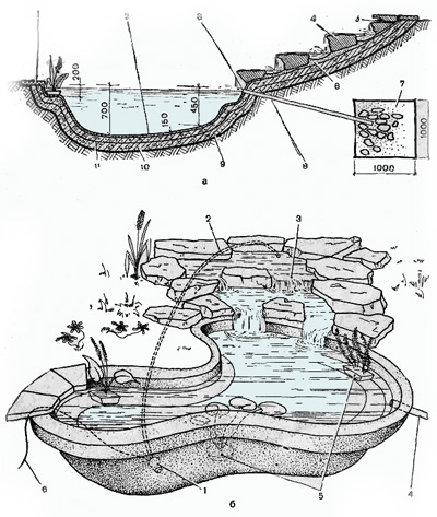 Устройство пруда на участке схема